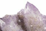 Sparkling Cactus Amethyst Crystal Cluster - South Africa #337110-6